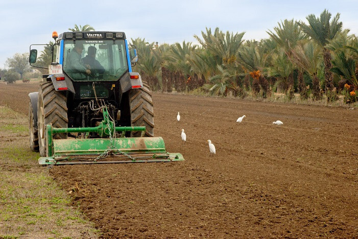 TractorlabrandocampodeGuardamarFotoGeneralitatvalenciana