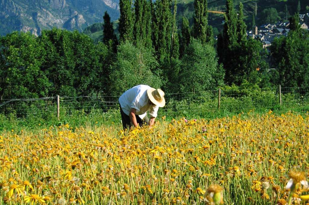 AgricultorseguroagrarioFotoMagrama