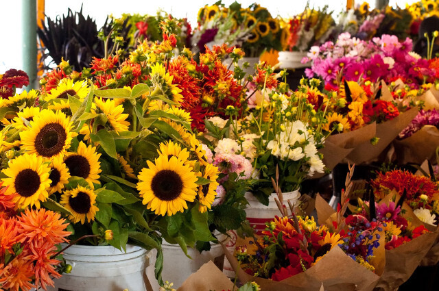 FloresFotoMagrama