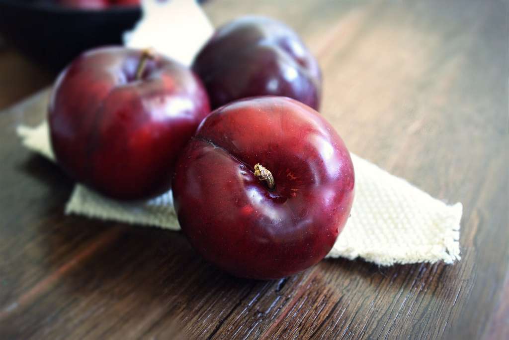 CiruelarojaFotoMagrama