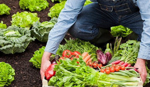 AgriculturaEcolgicaFotoCAERM 2