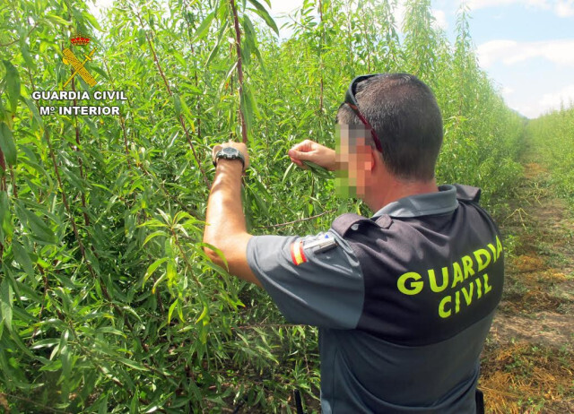 OPAntoetaCaravacaFraudeAlmendraFotoGuardiaCivil