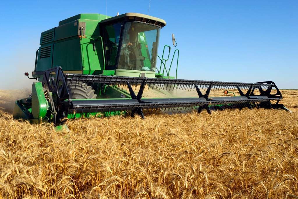 TractorlabrandocereralFotoMagrama 3