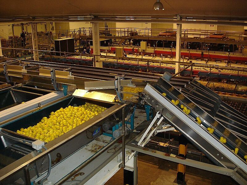 IndustriaagroalimentarialimonesFotoCOIARM 1