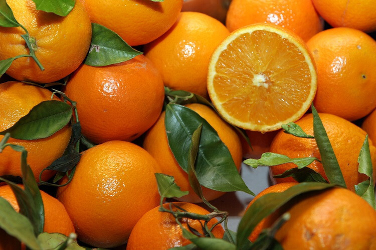 MandarinasFotoGeneralitatValenciana 2