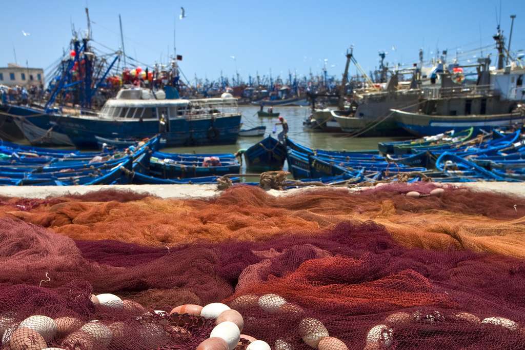 RedesybarcosenpuertoFotoMagrama