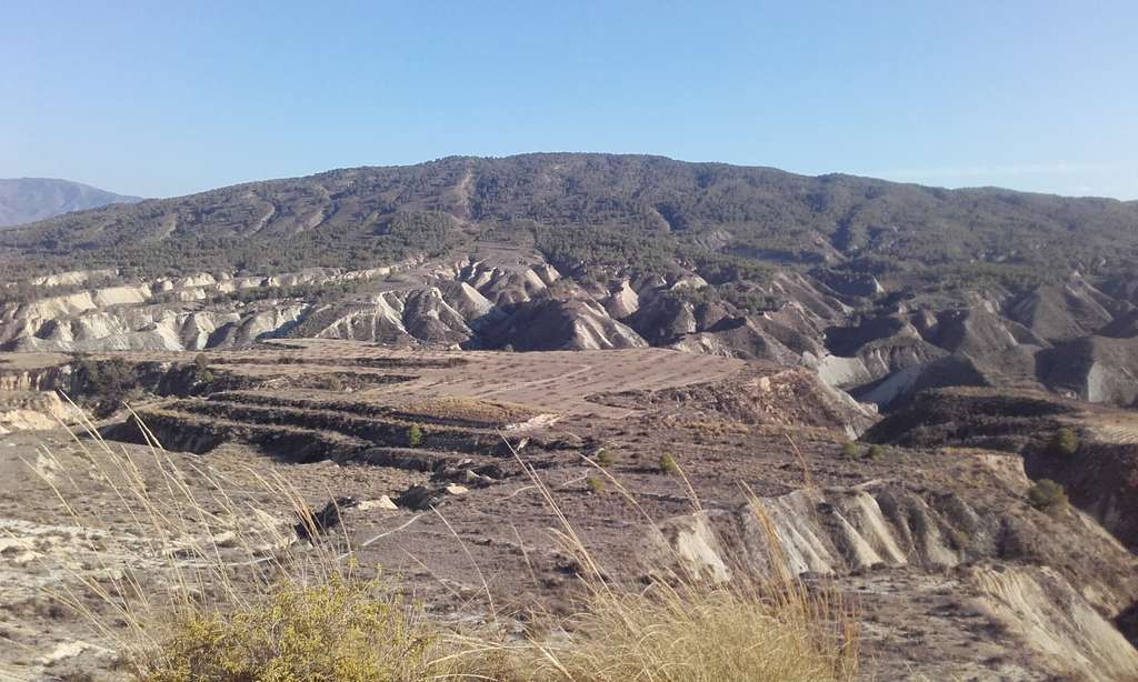 Sequía Campo