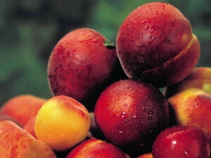 FrutahuesoFotoCooperativasAgroAlimentarias 2