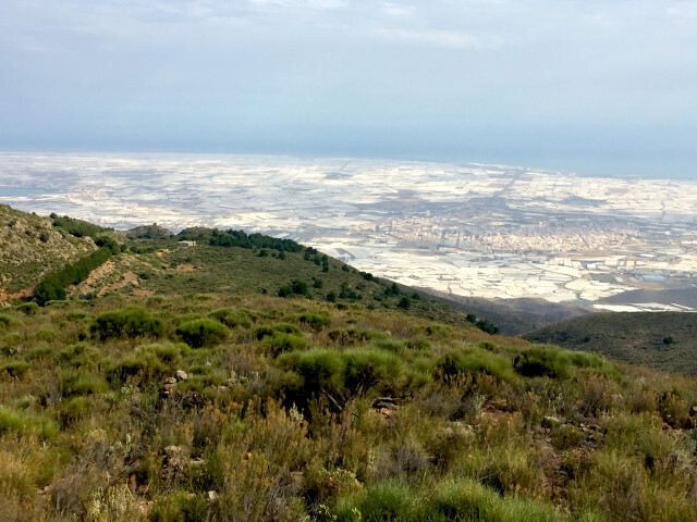PanormicaInvernaderosElEjidodesdeSierradeGdorFotoJCUAPA