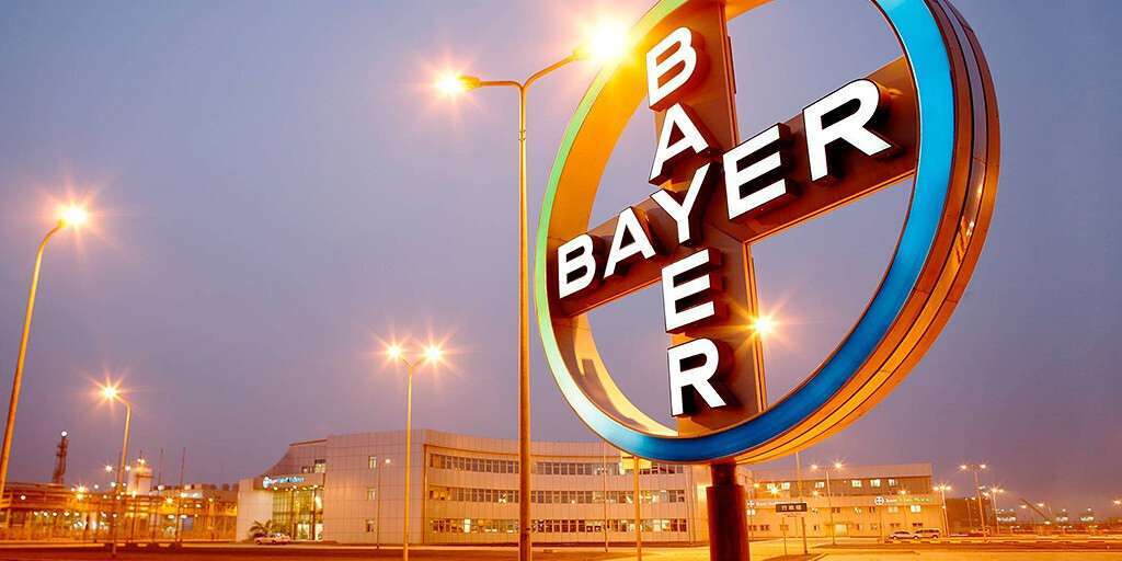 BayerLogoCiudadFotoBayer