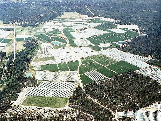 AgriculturaintensivaderegadoenelentornodelParquedeDoanaFotoWWF