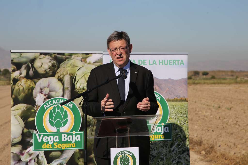 PuigCorteAlcachofaVegaMediaenDoloresFotoGeneralitatvalenciana