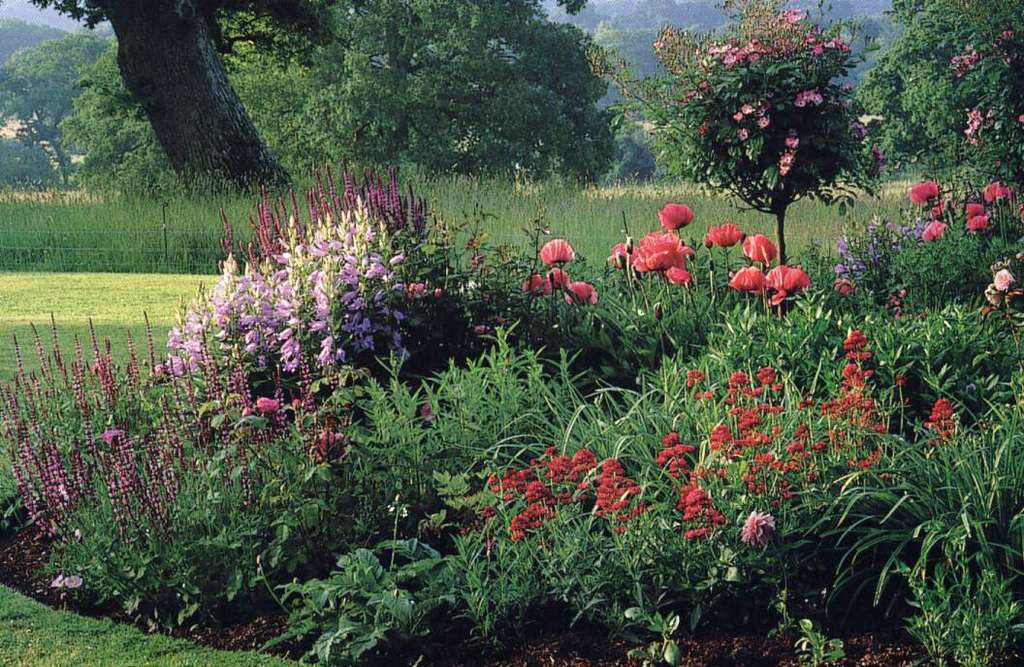 Plantas ornamentales (Foto Mapama)