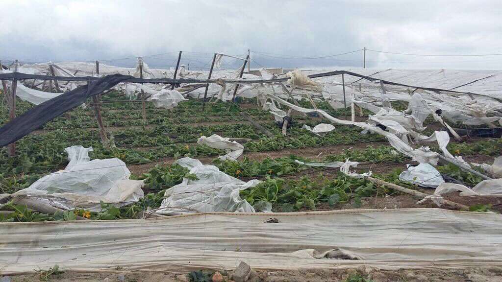 Tornado invernaderos El Ejido (Foto COAG Almeru00eda)