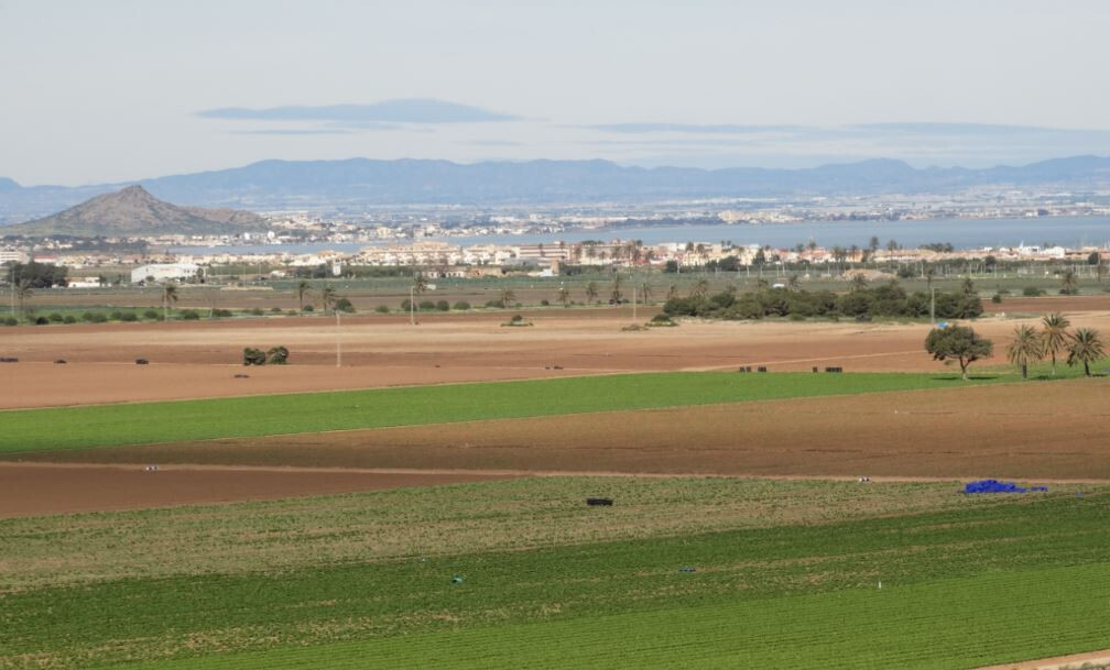 Cultivos Arco Sur Mar Menor (Foto C.Guardia)