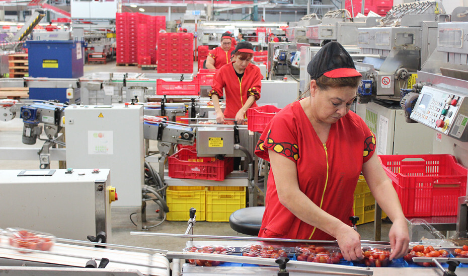 AgroindustriaEstandarc (Foto Junta de Andalucía)