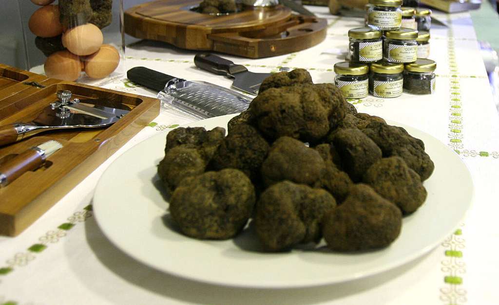 Trufas (Foto Generalitat Valenciana)