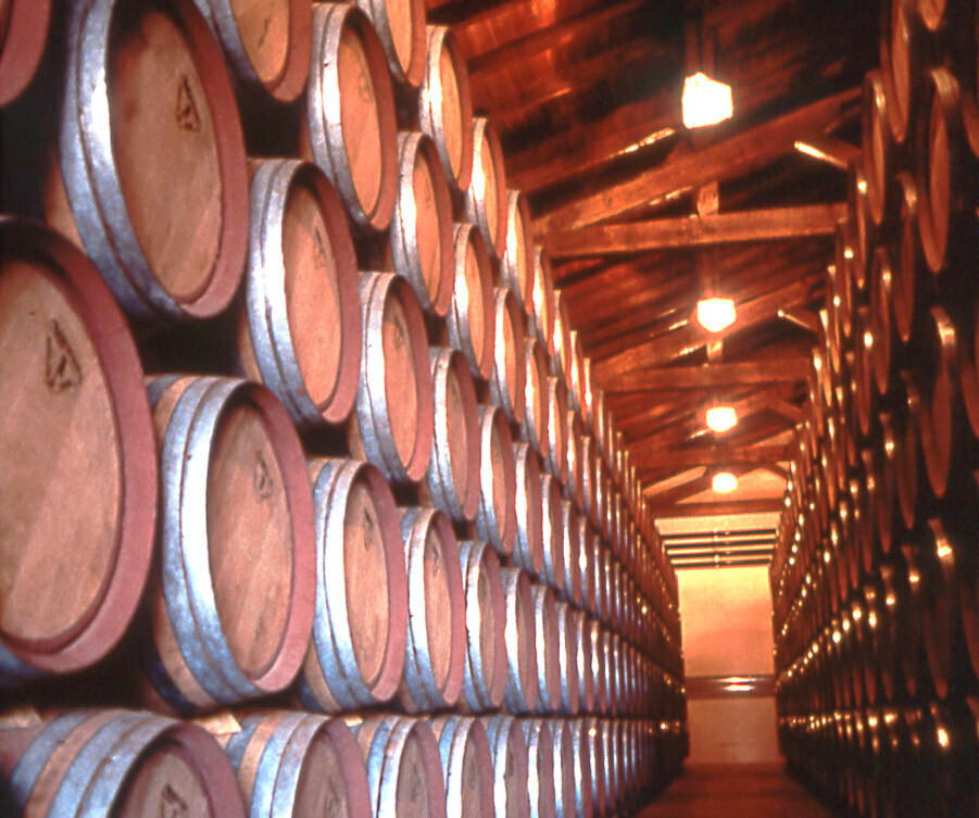 Barriles bodega (Foto Consejo Reg DOP Jumilla)