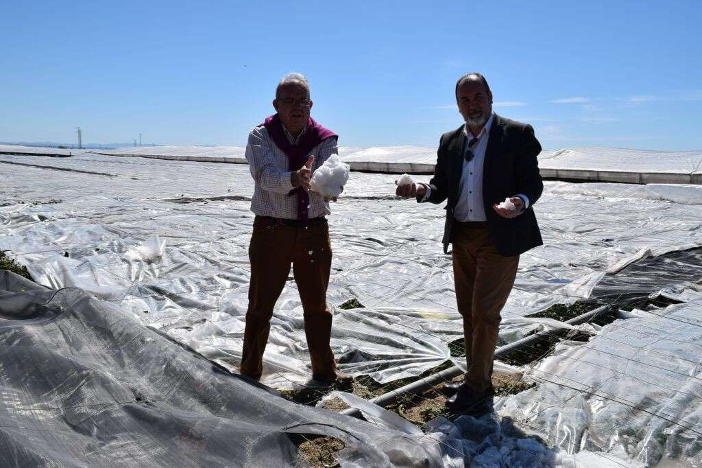 Granizo mayo 2018 Vu00edcar 1  (Foto Ayto Vu00edcar)