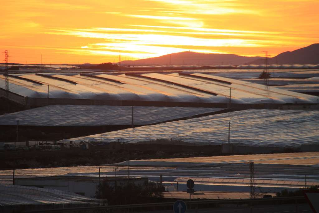 Invernaderos atardecer (Foto Hortiespaña)