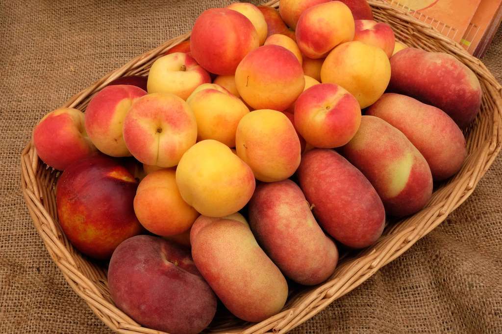 Fruta de Hueso (Foto Fecoam)