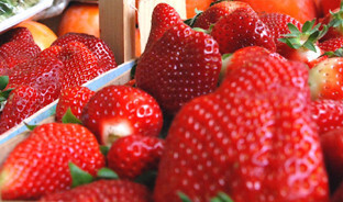 Fresas (Foto Junta de Andalucu00eda)