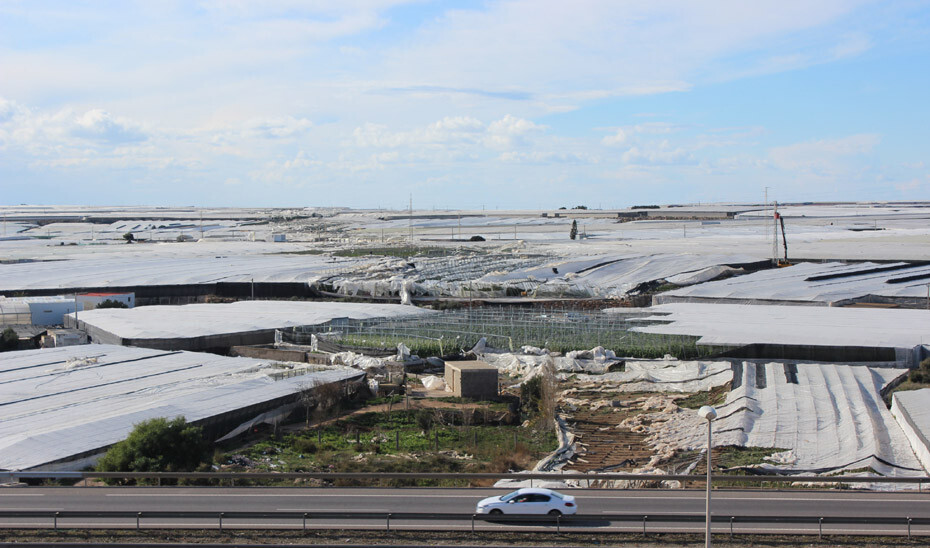 Invernaderos (Foto Junta de Andalucía)