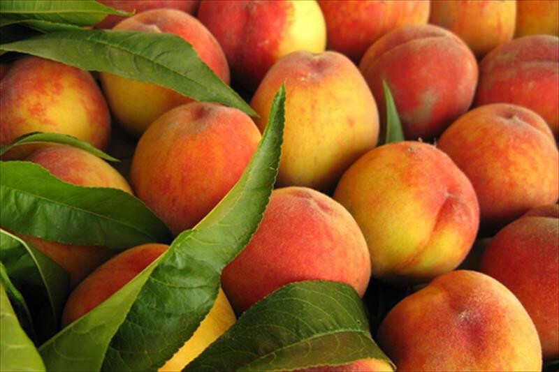 Fruta de murcia