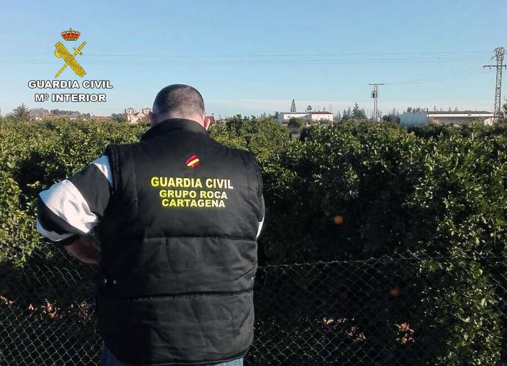 OPNaranjasroboclanfamiliarCTFotoGuardiaCivil 1