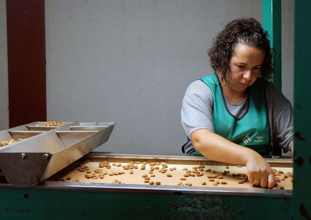 NP Trabajadora almendra Coop Vega de Pliego