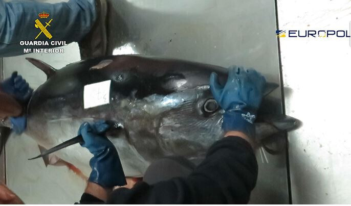 Operaciu00f3n Atu00fan Rojo Tarantelo (Foto Guardia Civil Europol)