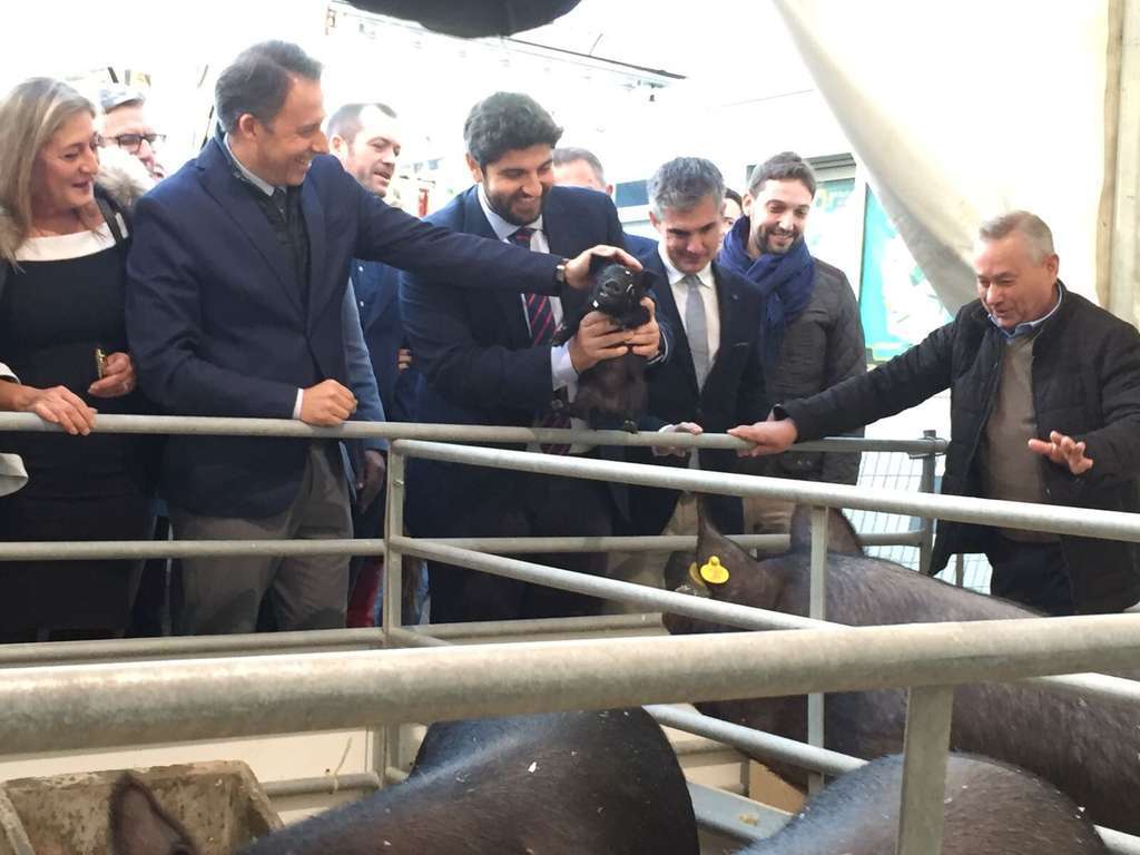 INAUGURACIu00d3N SEPOR