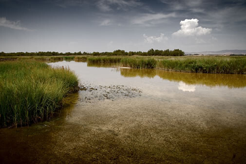 Parque tablas de daimiel (Foto Asaja)