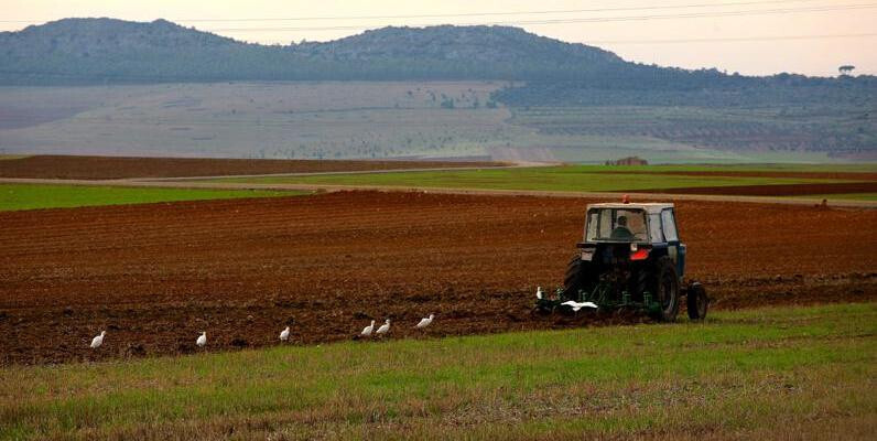 Tractor en el campo (Foto Mapama)