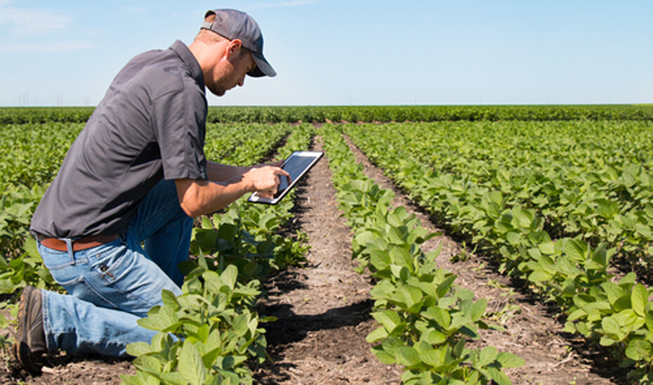 Joven agricultor moderización regadíos cultivo campo (Foto Junta de Andalucía)