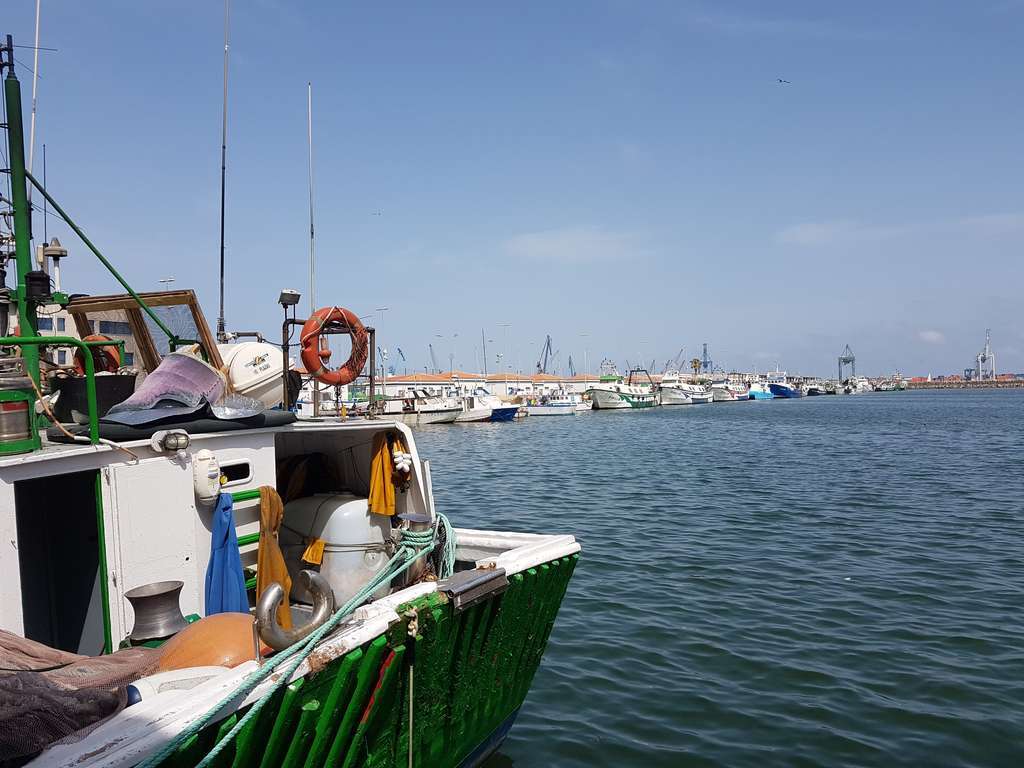 Castello Pesca (Foto Generalitat Valenciana)