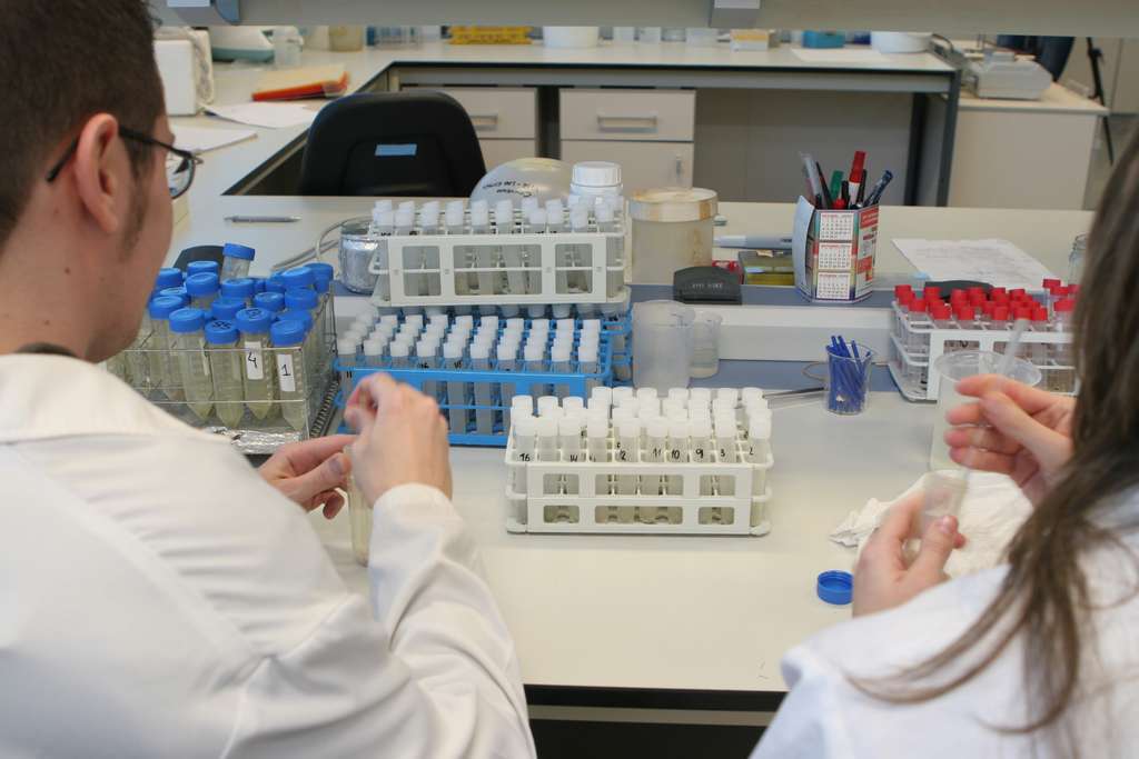 INVESTIGACION DEL ARROZ Científicos Laboratorio (Foto Generalitat Valenciana)