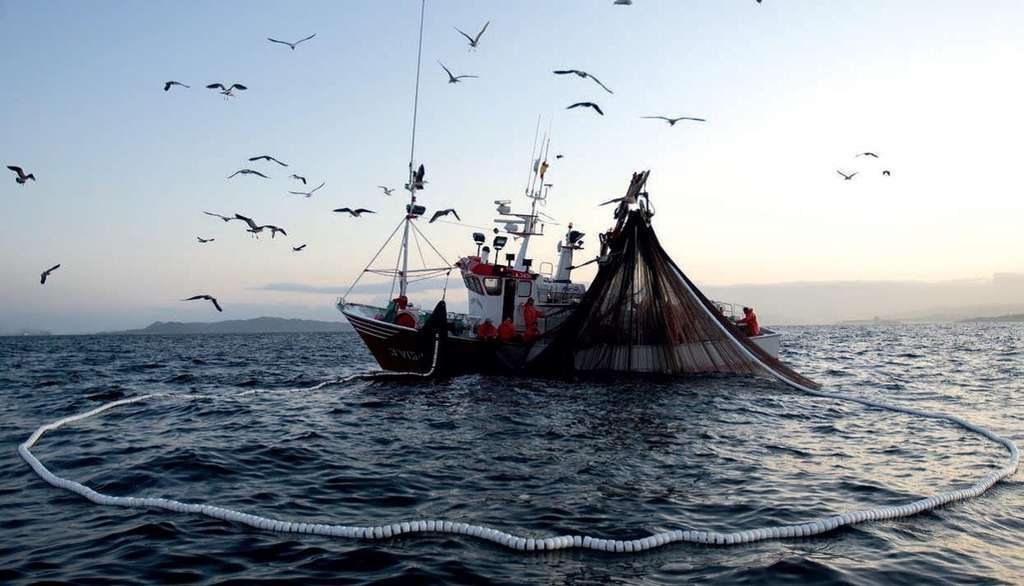 Pesca Cerco Embarcación (Foto CARM)