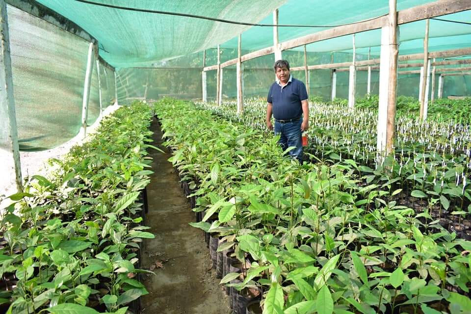 Agricultura Perú (Foto Gobierno Regional La Libertad)