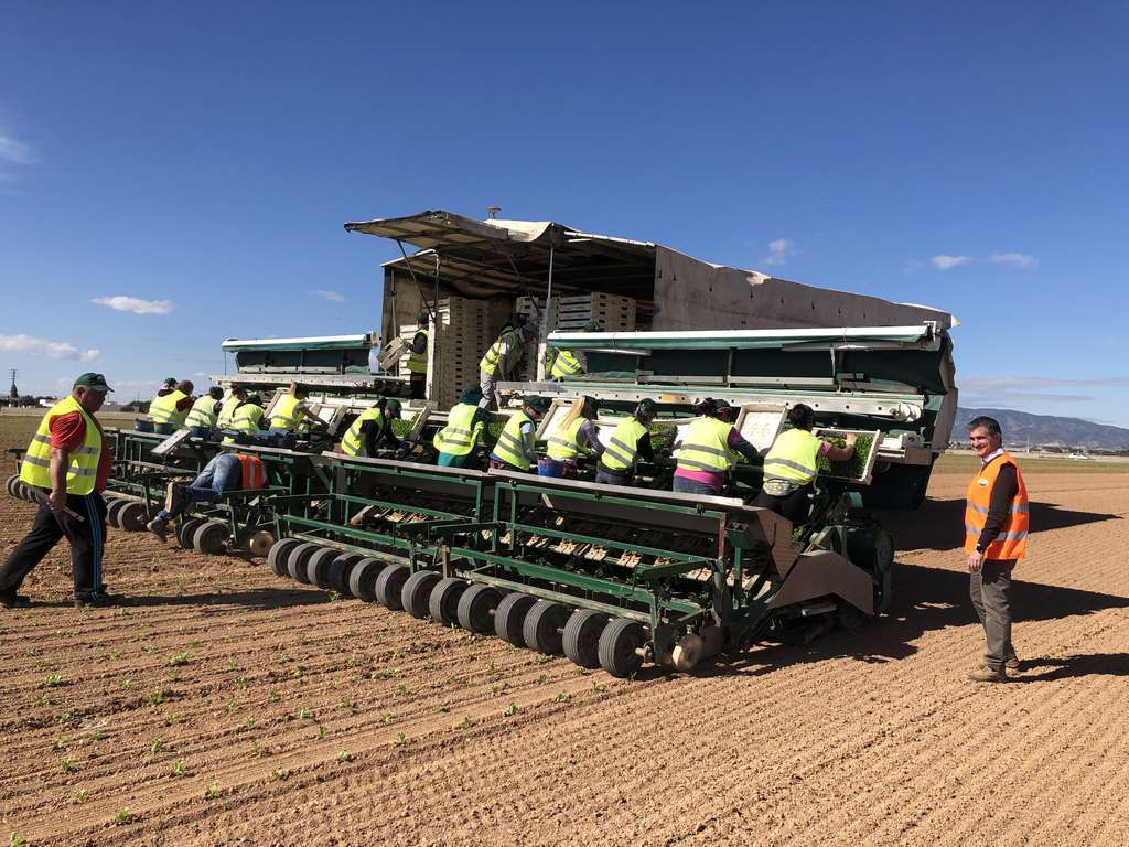 20190211maquina plantar