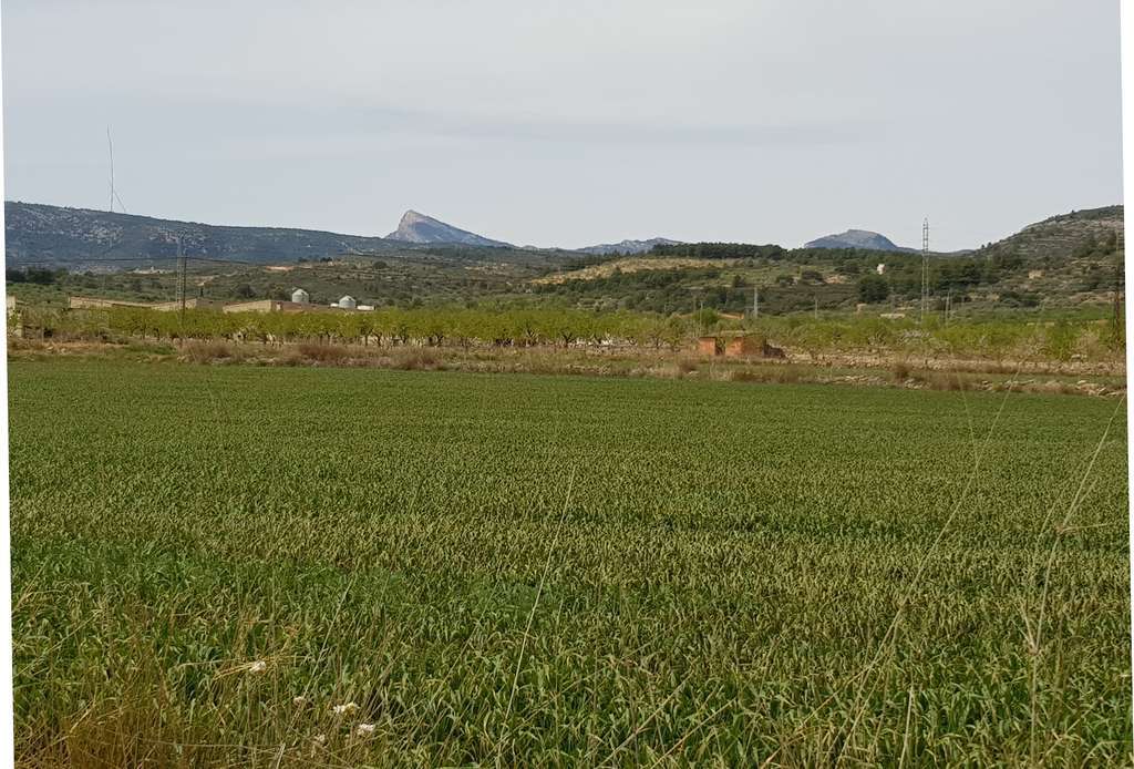 Estructuras agrarias Campo Cultivo (Foto Generalitat valenciana)