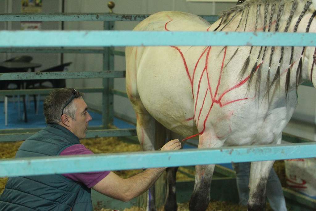 EQUIMUR 2019 Foto 1