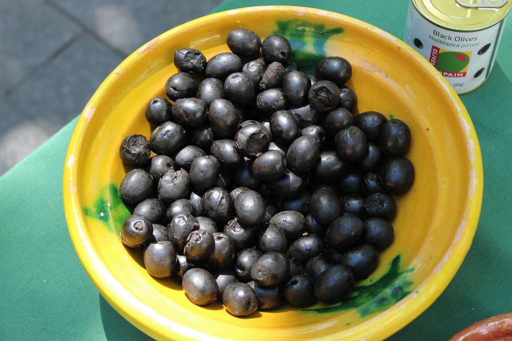 Recurso aceituna negra (1)