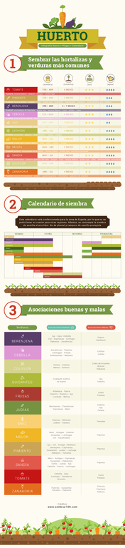 Infografia huerto modificado