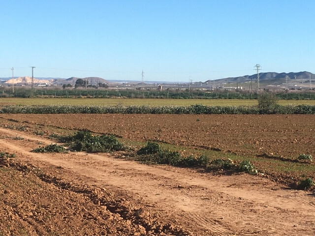 Agronomia (foto milanuncios)