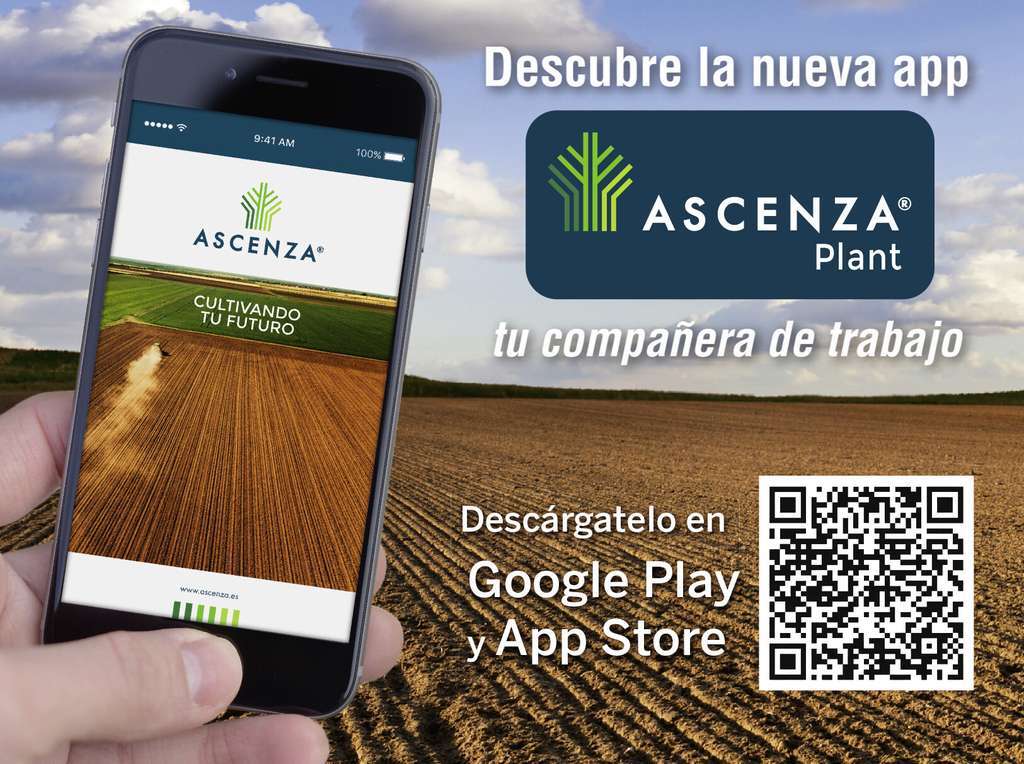ASCENZA Plant