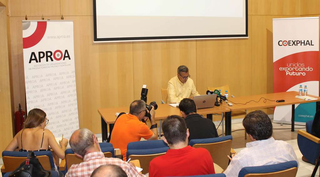 20190717 RDP Balance Campaña 18 19