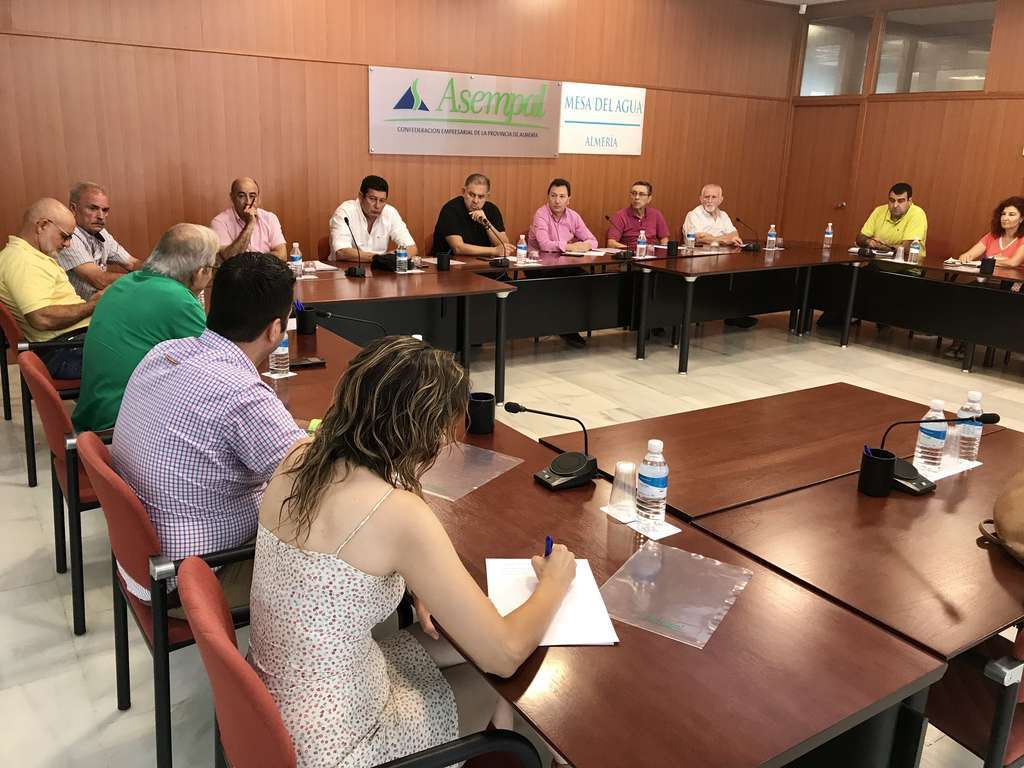 Reuniu00f3n Mesa del Agua Almeru00eda 25 julio 2019