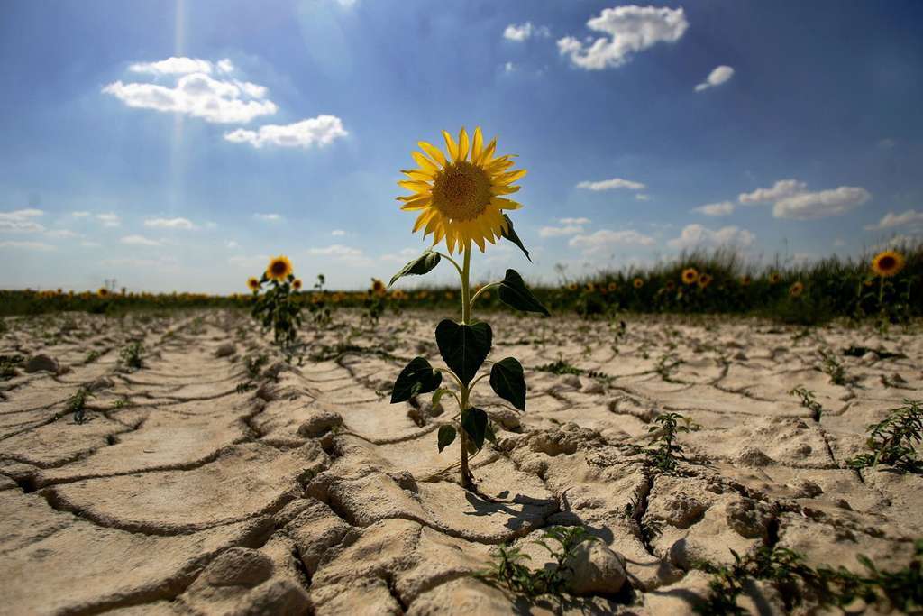 Desertificacion (foto national geographic)