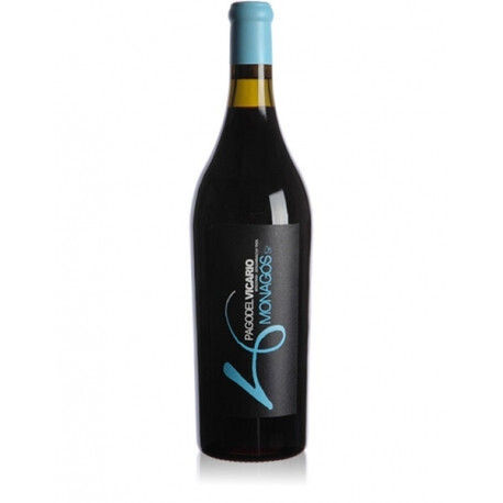 Pago del vicario monagos (foto bodega privada)